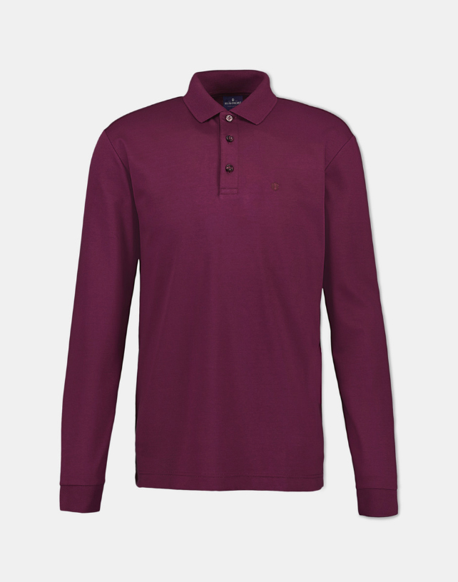 Polo4